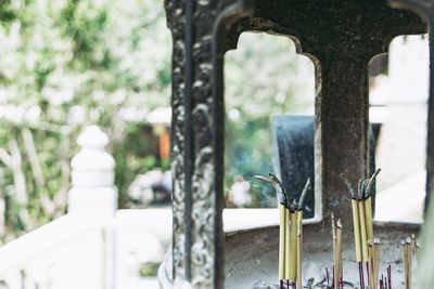 Close-up of burning incense sticks