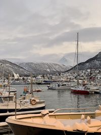 Boats moored in harbor