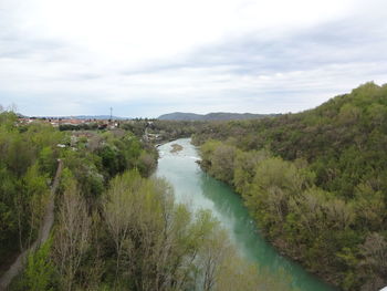 Scenic view of river amidst trees against sky