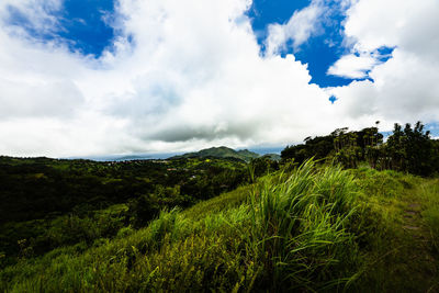 Scenic view of landscape against sky