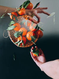 Surreal portrait of hands holding citrus fruits