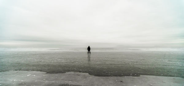 Rear view of man standing on beach