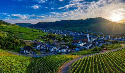 Panoramic view of the municipality of bruttig-fankel and the vineyards on the moselle, germany. 