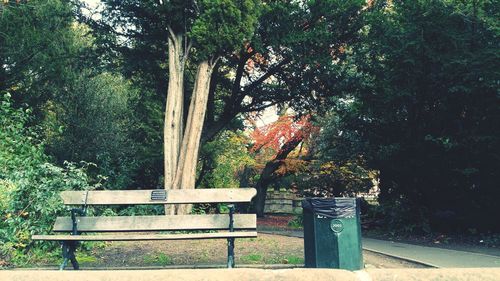 Park bench in park