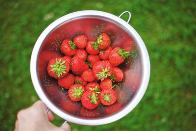 High angle view of hand holding strawberries