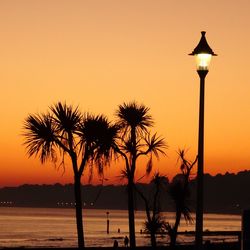 Silhouette palm trees by sea against orange sky