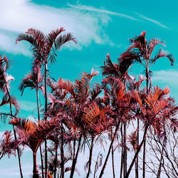 Low angle view of trees against blue sky