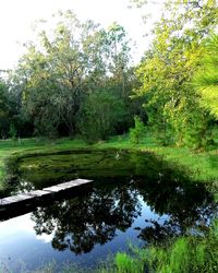 Scenic view of lake by trees against sky