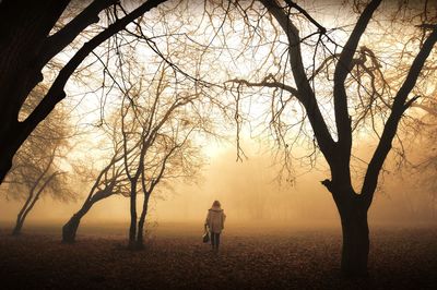 Rear view of silhouette woman walking on bare tree