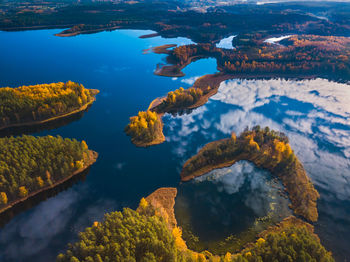 High angle view of lake and trees