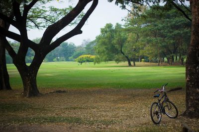 Bicycle on field