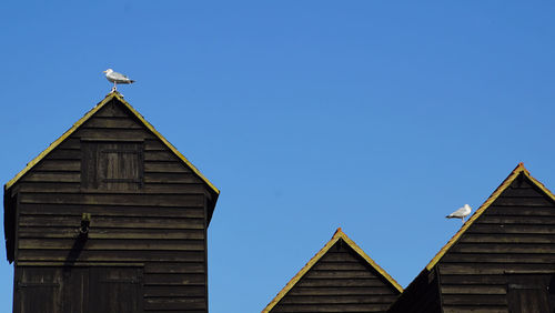 Low angle view of bird perching on building against clear sky