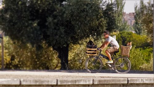 Woman in bicycle