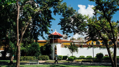 Trees and plants in park against sky