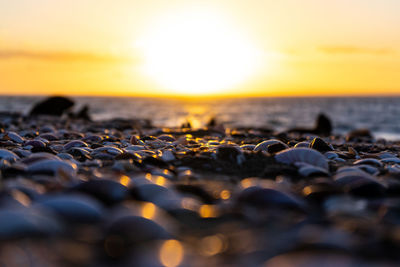 Surface level of pebble beach against sky during sunset