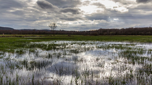 Scenic view of lake against sky