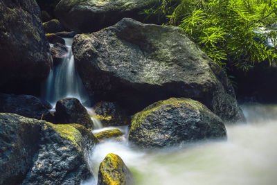 Stream flowing at forest