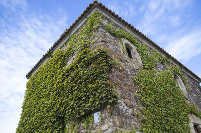 Ivy covered facade in trujillo, caceres, spain. calle de los mártires