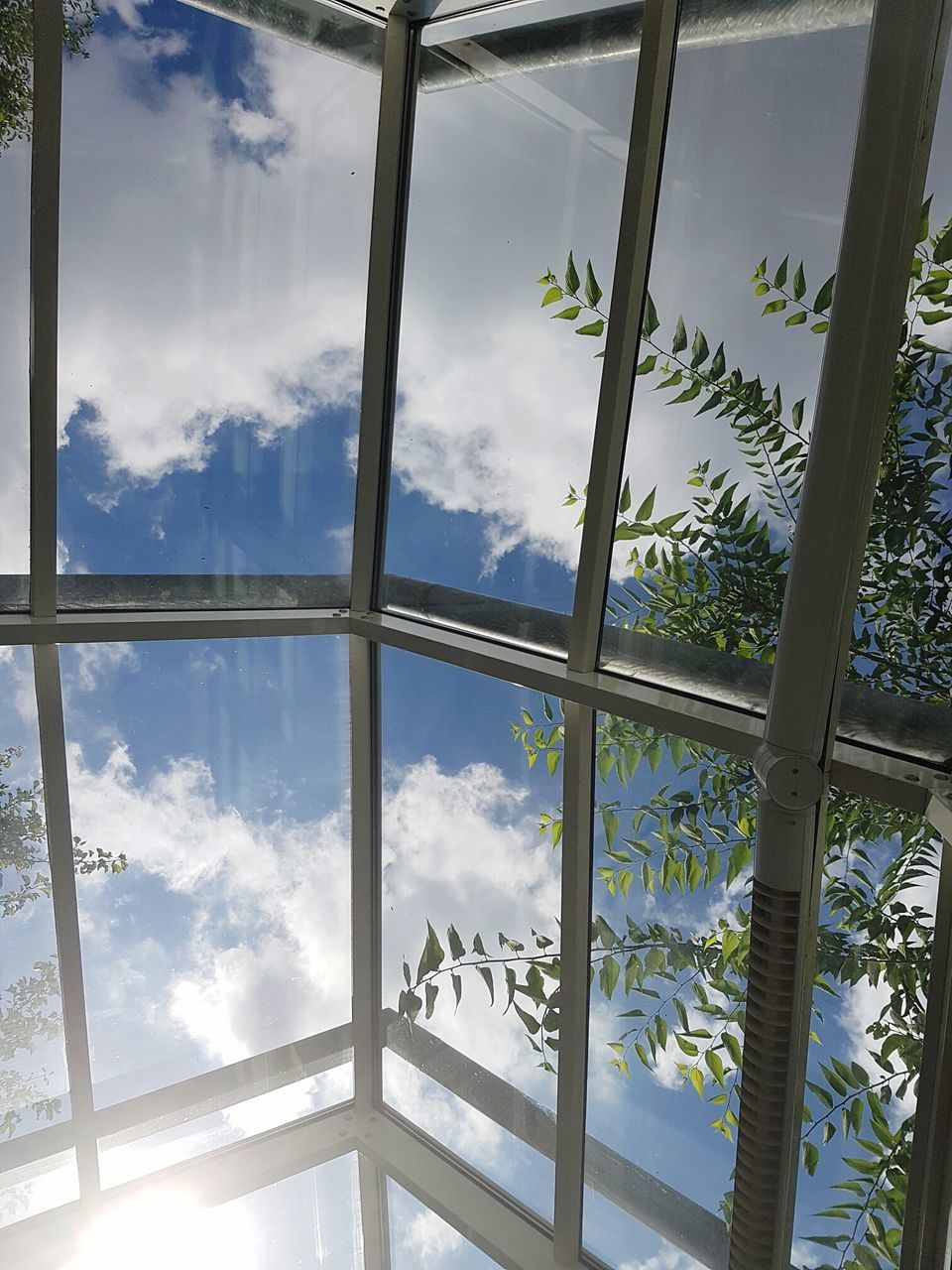 PANORAMIC VIEW OF TREES AGAINST SKY SEEN THROUGH GLASS