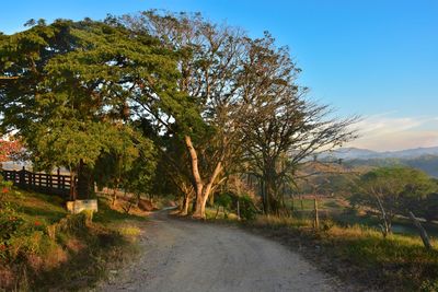 Road amidst trees against sky