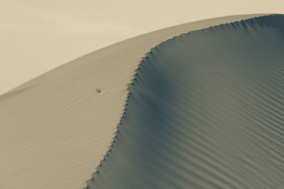 Sand dune in desert against sky