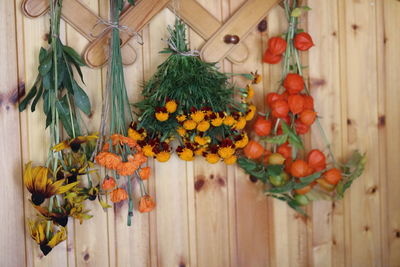 Directly above shot of berries on plant