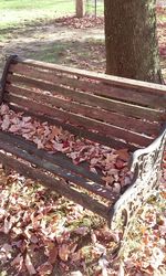 Close-up high angle view of autumn leaves