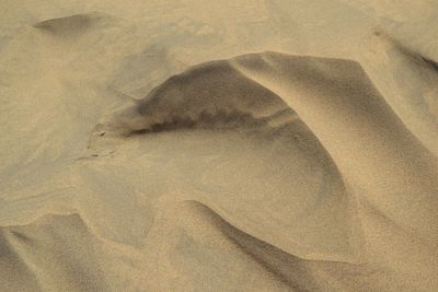 High angle view of sand at beach