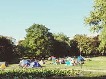 People sitting on grassy field