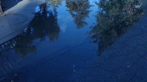 High angle view of trees against blue sky