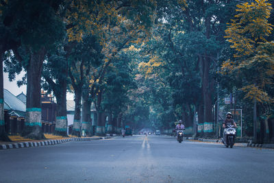 Road by trees in city during autumn