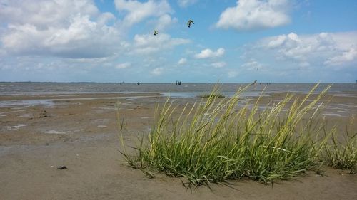 Scenic view of beach against sky