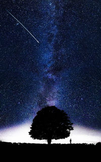 Silhouette trees on field against sky at night