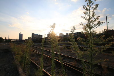 Railroad track at sunset