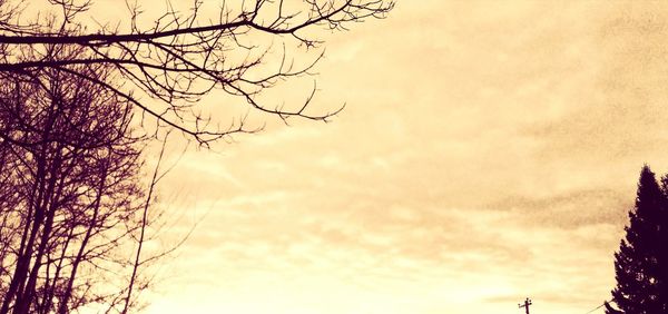 Low angle view of silhouette tree against sky at sunset