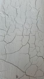 Full frame shot of cracked landscape