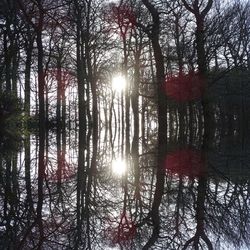 Full frame shot of trees against sky