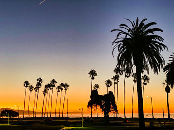 Silhouette palm trees on beach against sky during sunset