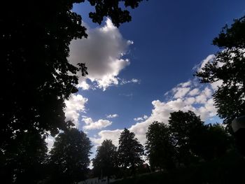 Low angle view of silhouette trees against sky