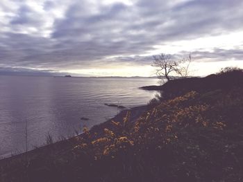 Scenic view of sea against sky at sunset
