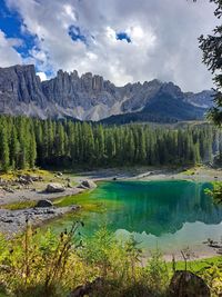 Scenic view of lake amidst trees against sky