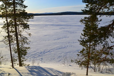 Scenic view of snow covered landscape