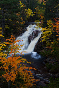 Scenic view of waterfall in forest during autumn at mary ann falls, cape breton island, nova scotia