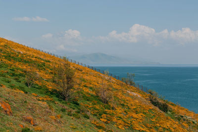 Scenic view of sea against sky during autumn