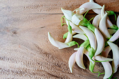 High angle view of chili pepper on table