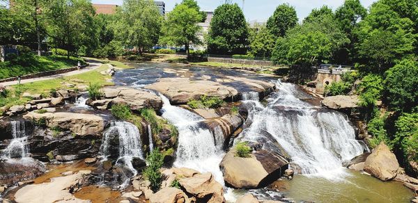 Scenic view of waterfall in forest