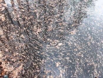 Full frame shot of rippled water