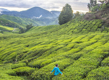 Woman standing at tea plantation