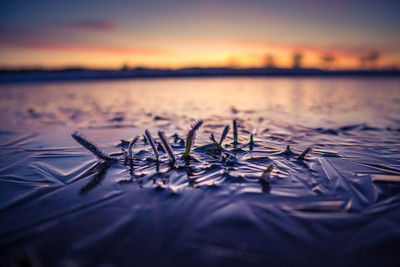 Beautiful close-up of a frozen ice formations on the water surface. natural winter texture.