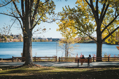 Mid distance view of people sitting at park by lake